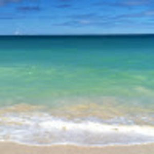 Meet your Posher, Rosanna